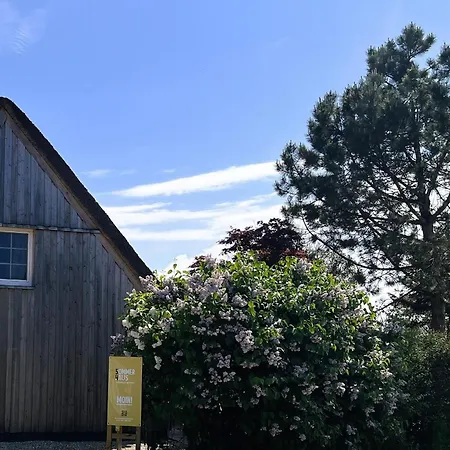 Sommerhaus Reethaus 